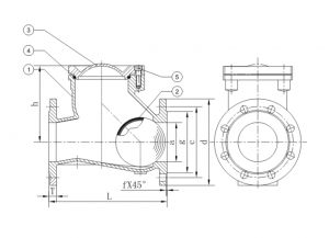 ball check valves- flanged ends DIN F6