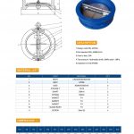 dual plates check valves