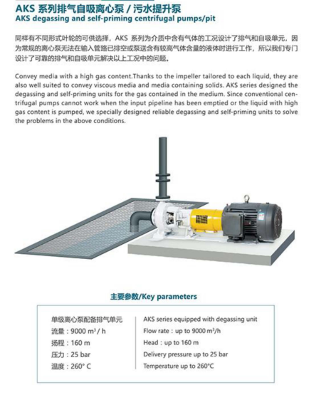 Pulp and paper industry pumps